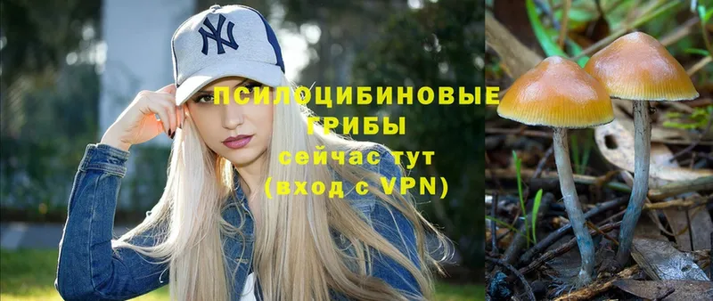 Где купить Петровск Каннабис  МЕФ  COCAIN  Галлюциногенные грибы  ГАШ  АМФЕТАМИН 